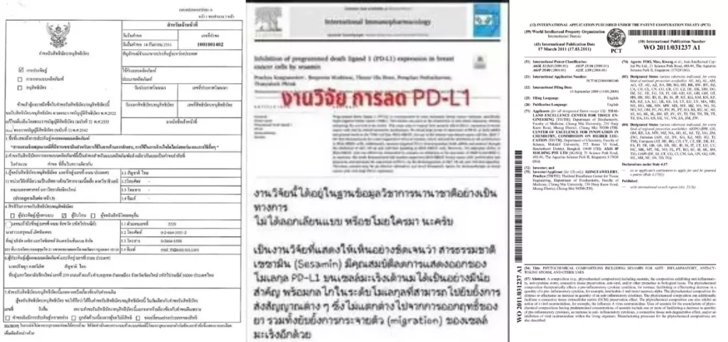 anyconv.com จดสิทธิบัตรงานวิจัย
