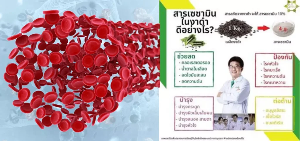 anyconv.com สารเซซามินดีอย่างไร