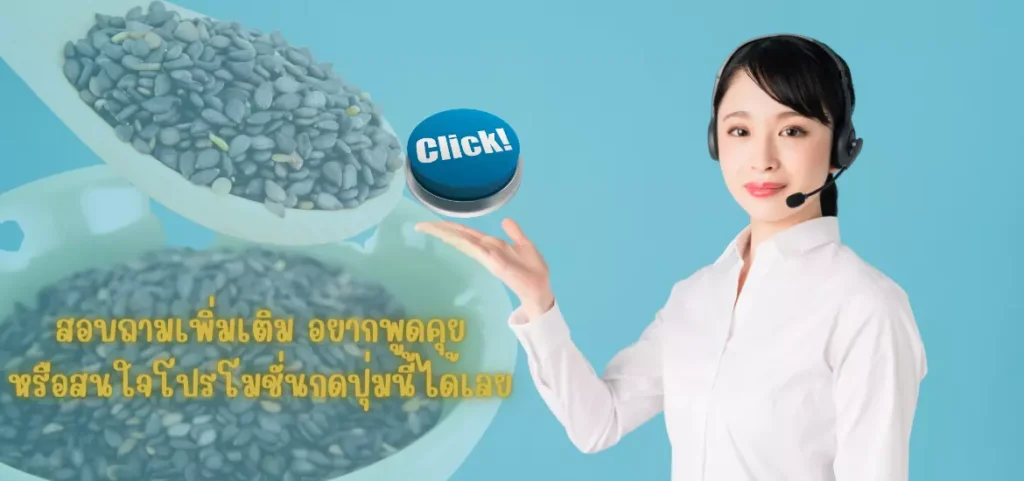 anyconv.com คลิก