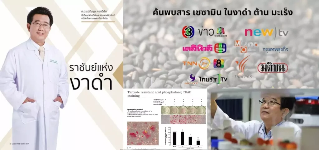 anyconv.com เซซามินกับน้ำมันงา (2)