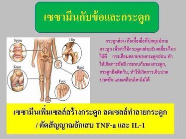 เซซามินกับข้อและกระดูก